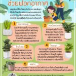 5 สมุนไพรไทยช่วยฟอกอากาศ